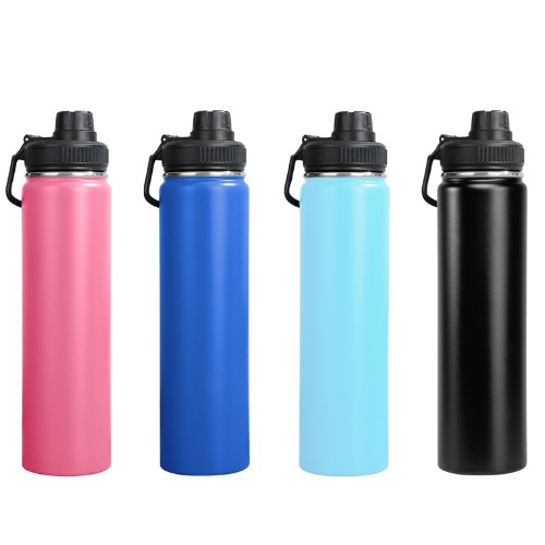 Stainless Steel Double-wall Insulated 650ml Water Bottle – Gibbs Direct