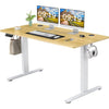 Sweetcrispy Electric Adjustable Standing Desk 48