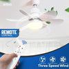 AIRBRO 21” Socket Fan w/ Light & Remote Control - Quiet