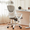 Sweetcrispy  Ergonomic High-Back Mesh Office Chair w/ Adjustable Headrest