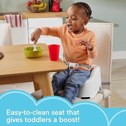 Fisher-Price Toddler Booster Seat Simple Clean & Comfort Panda Chair