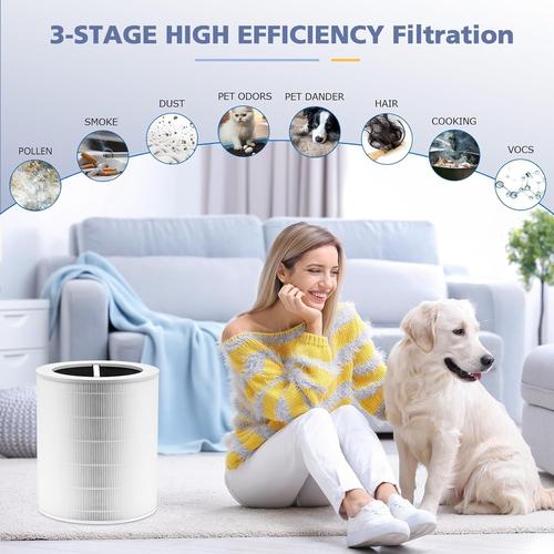 Core 600S Replacement Filter, Ture HEPA Activated Carbon Filter