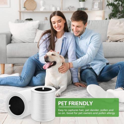 Core 600S Replacement Filter, Ture HEPA Activated Carbon Filter
