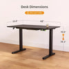 YDN Ultra-Thin Electric Standing Desk with Built-in Drawers
