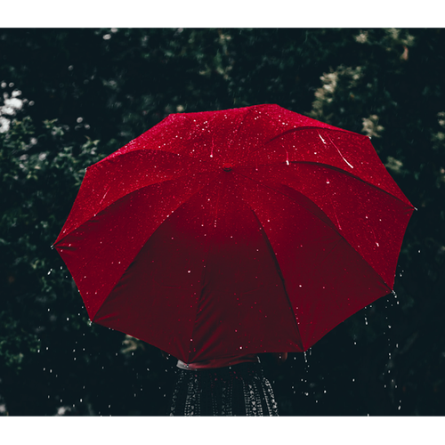 Colour Me Dark Red EDP - For Him & Her