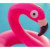 Colour Me Neon Pink EDP - For Her