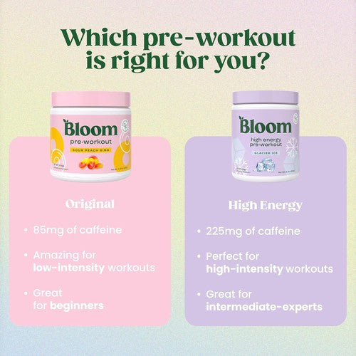 Bloom Nutrition Original Pre Workout Powder 