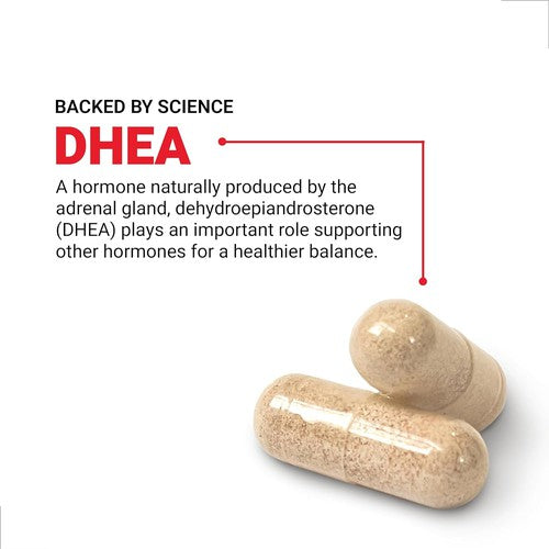 FORCE FACTOR DHEA 50Mg