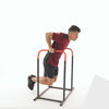 Load and play video in Gallery viewer, Sunny Health &amp; Fitness Adjustable Multi-Use Dip Station Bar