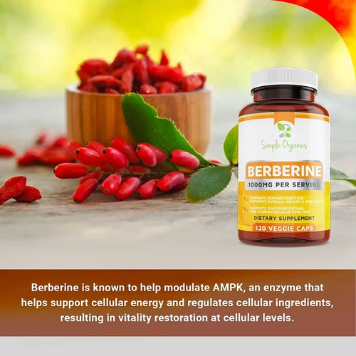 Simple-Organics Berberine 500Mg (1000Mg per Serving) - 120 Capsules