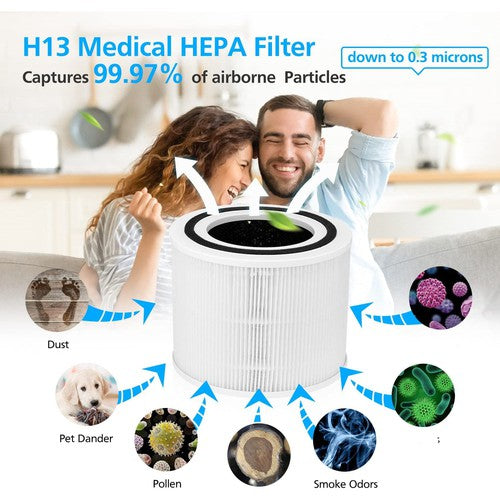 Core 300 Replacement HEPA Filter