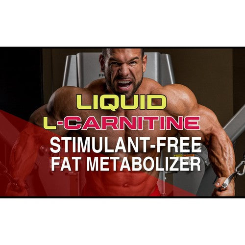 ALLMAX Nutrition Liquid L-Carnitine 1500