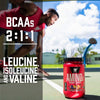 BSN Amino X Muscle Recovery & Endurance Powder w/ BCAAs